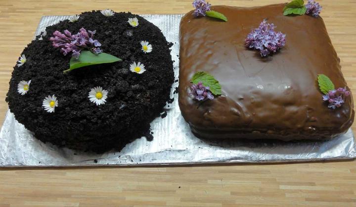 Jak upéct smrkový (borovicový) dort | recept Jak upéct smrkový (borovicový) dort | recept