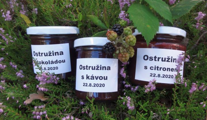 Jak zpracovat ostružiny Jak zpracovat ostružiny