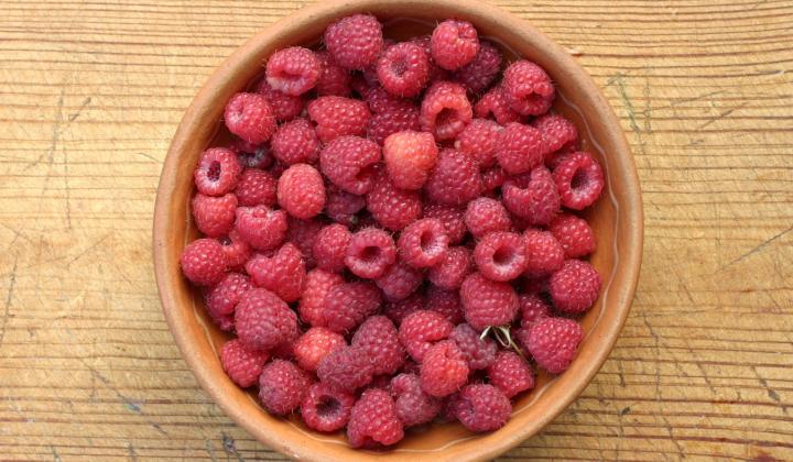 Jak vyrobit malinový likér | recept Jak vyrobit malinový likér | recept