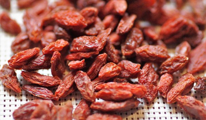 Jak pěstovat kustovnici čínskou Jak pěstovat kustovnici čínskou