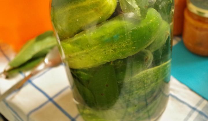 Jak připravit bylinkové rychlokvašky | recept Jak připravit bylinkové rychlokvašky | recept