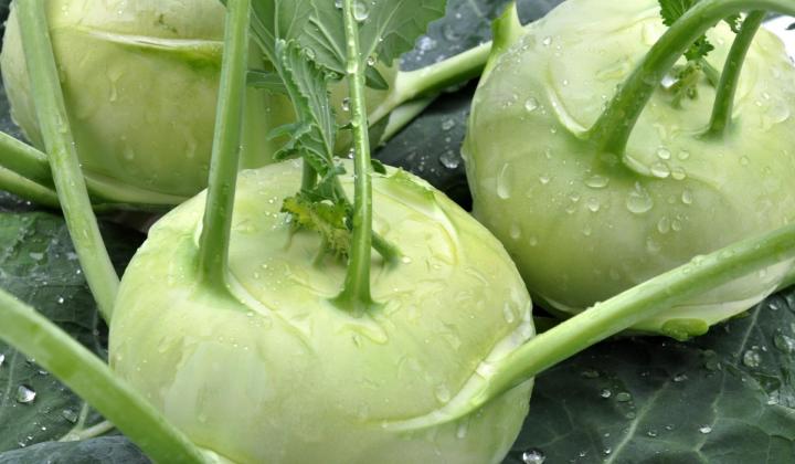 Jak uvařit kedlubny plněné masovou náplní | recept Jak uvařit kedlubny plněné masovou náplní | recept