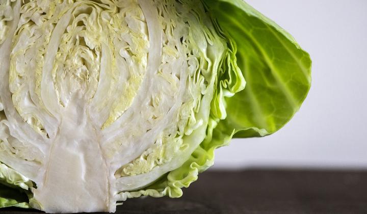 Jak uvařit couračku s kysaným zelím | recept Jak uvařit couračku s kysaným zelím | recept