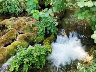 Jak bojovat s komáry | babské rady Jak bojovat s komáry | babské rady