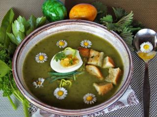 Jak uvařit krémovou polévku z kadeřávku | recept Jak uvařit krémovou polévku z kadeřávku | recept