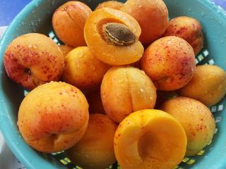 Jak upéct meruňkový koláč | recept Jak upéct meruňkový koláč | recept