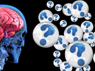 Jak si trénovat mozek aneb neurobik | rady Jak si trénovat mozek aneb neurobik | rady