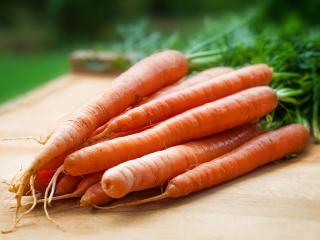 Jak udělat mrkvovou pomazánku | recept na zdravou pomazánku Jak udělat mrkvovou pomazánku | recept na zdravou pomazánku