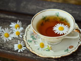 Jak vyčistit porcelán (keramiku) | rady Jak vyčistit porcelán (keramiku) | rady