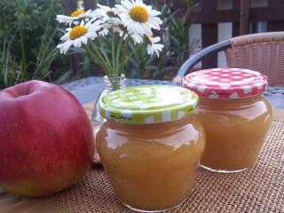 Jak si udělat domácí přesnídávku | recept Jak si udělat domácí přesnídávku | recept