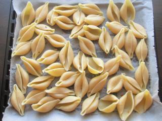 Jak připravit zapečené conchiglioni se špenátovou ricottou | recept na zapečené těstoviny