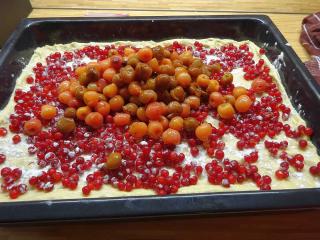 Jak upéct kynuté nekynuté těsto | rychlý recept na koláč