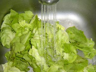 Jak uvařit polévku z hlávkového salátu | recept Hlávkový salát rozebereme na listy a důkladně propereme ve studené vodě. Máme-li dřezovou sprchu, použijeme ji. Každý list prohlédneme, hlavně na spodní straně salátového žebra může ulpívat zemina ze záhonu. Pochází-li salát ze zahrádky, mohou se v listech skrývat i drobní slimáci. Necháme okapat.