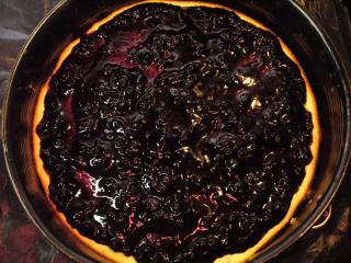 Jak upéct borůvkový cheesecake | recept Jak upéct borůvkový cheesecake | recept