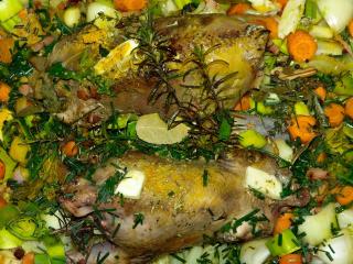 pheasant_and_mushroom pheasant_and_mushroom