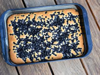 Jak upéct borůvkovou bublaninu | recept Jak upéct borůvkovou bublaninu | recept