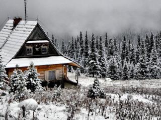 Jak si užít Vánoce na horách | rady Jak si užít Vánoce na horách | rady
